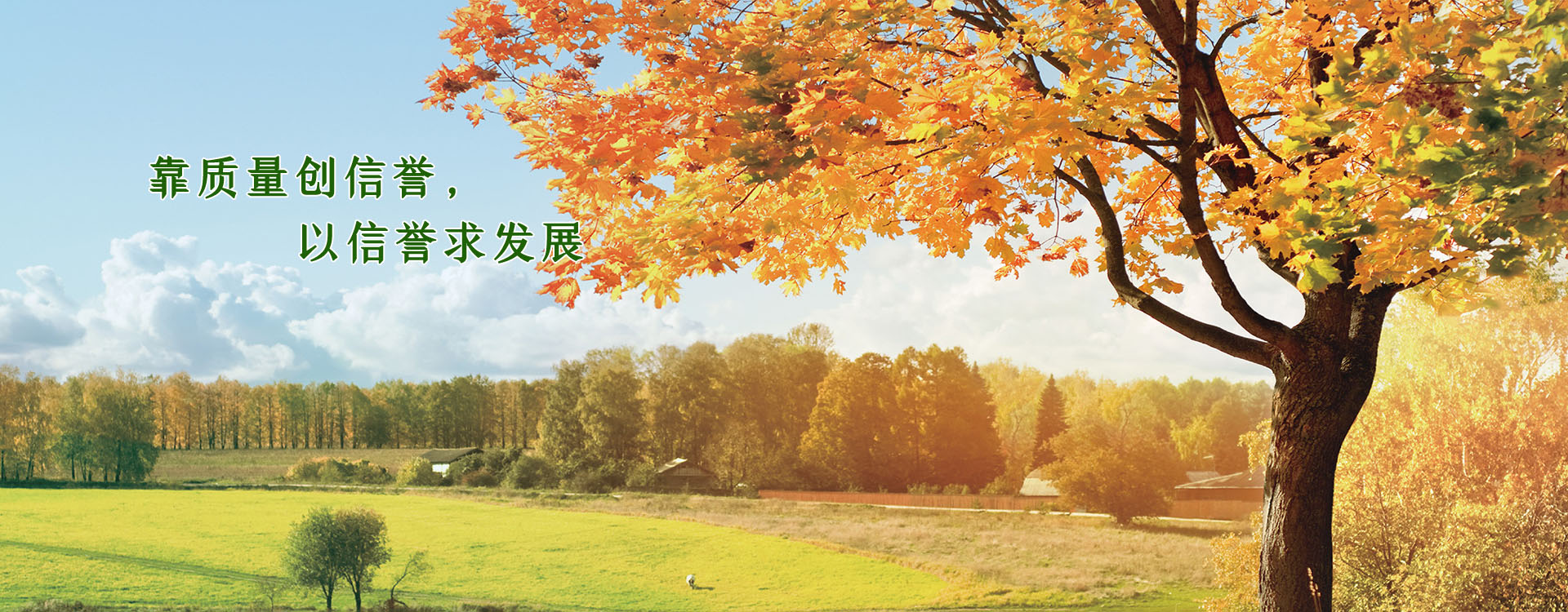 幻燈片2